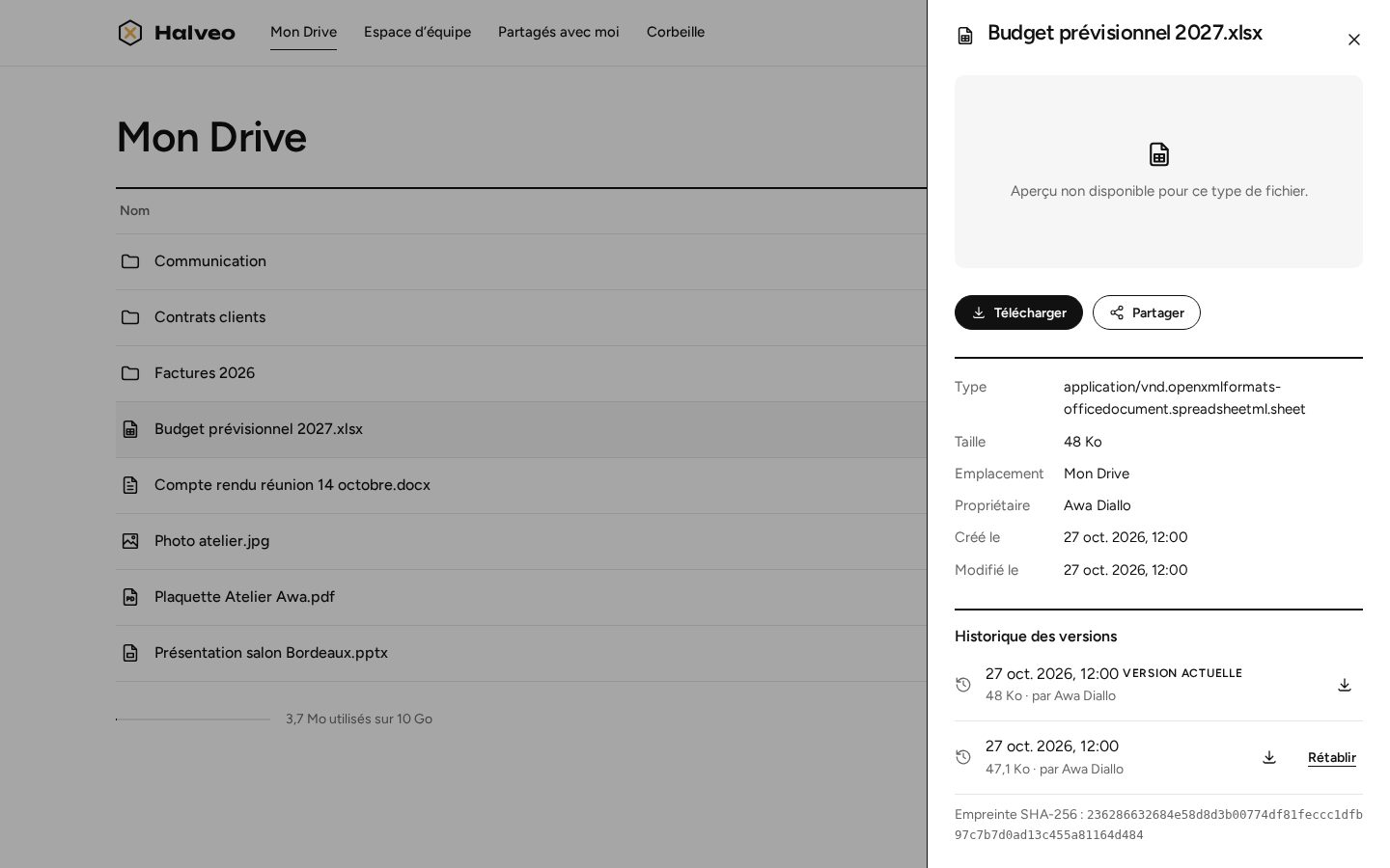 Details panel for a spreadsheet: two versions in the history, the newest marked as current
